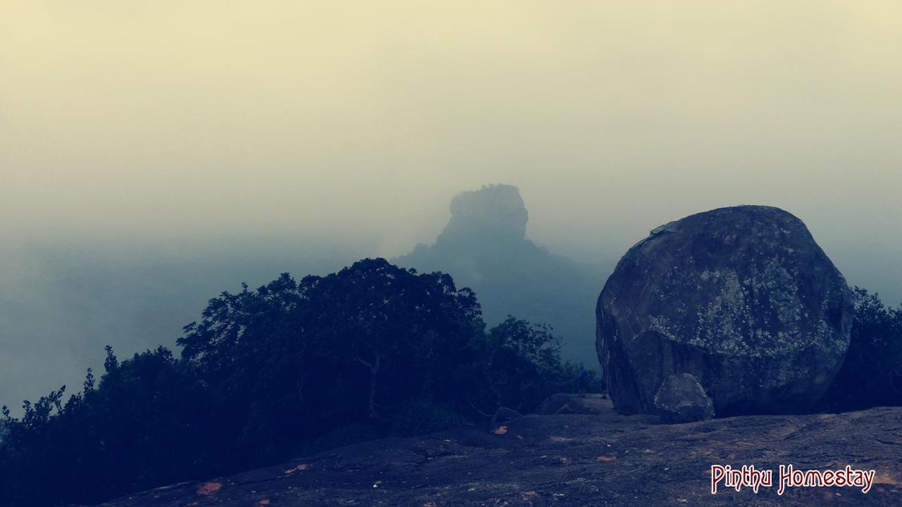 Pinthu Home Stay Sigiriya Buitenkant foto