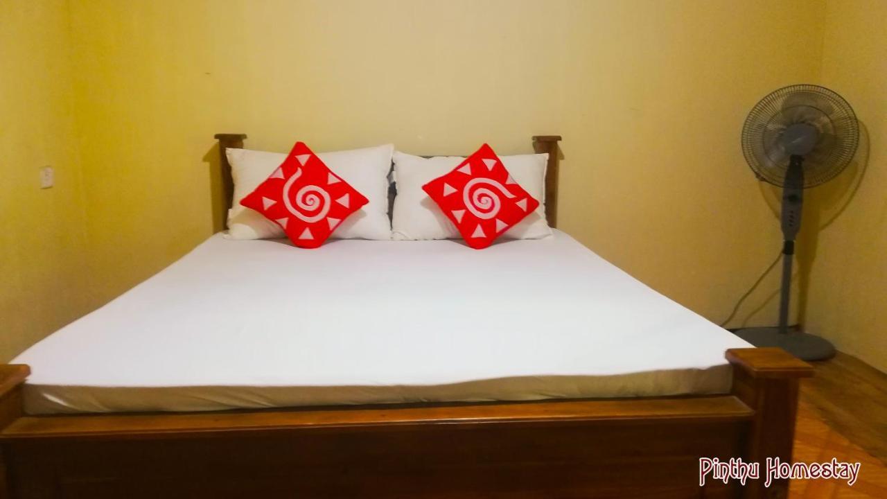 Pinthu Home Stay Sigiriya Buitenkant foto