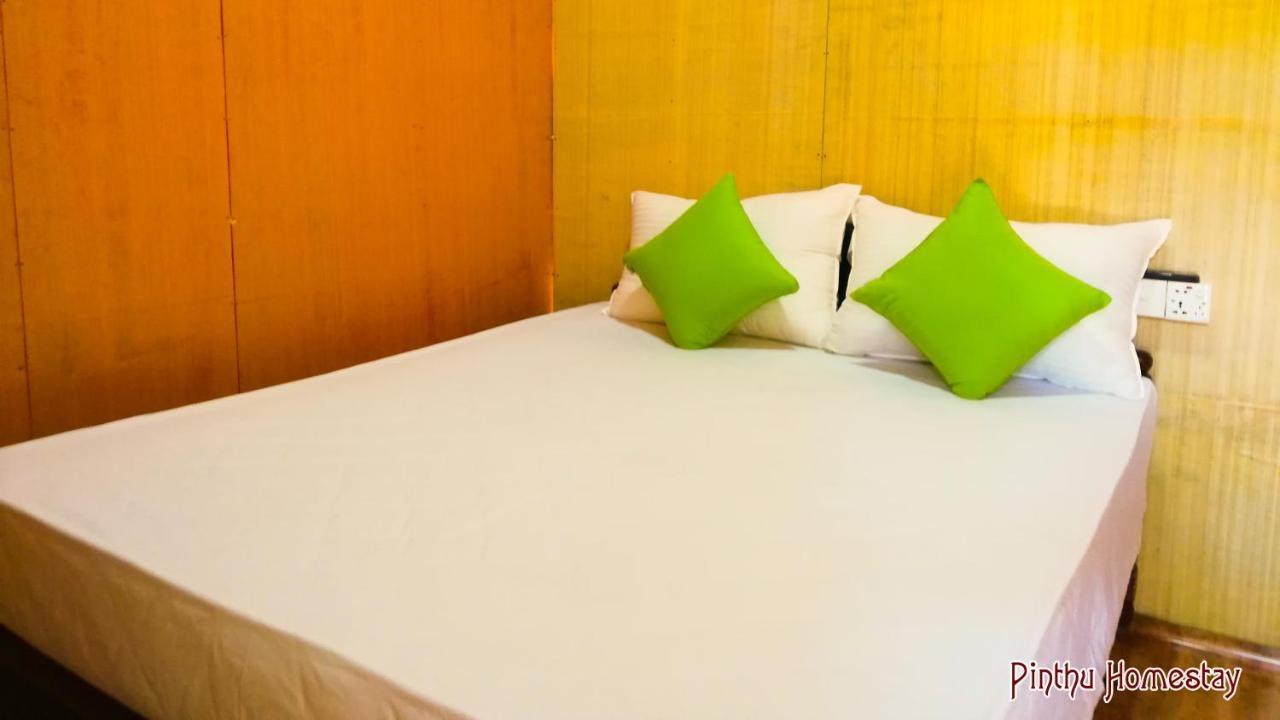 Pinthu Home Stay Sigiriya Buitenkant foto